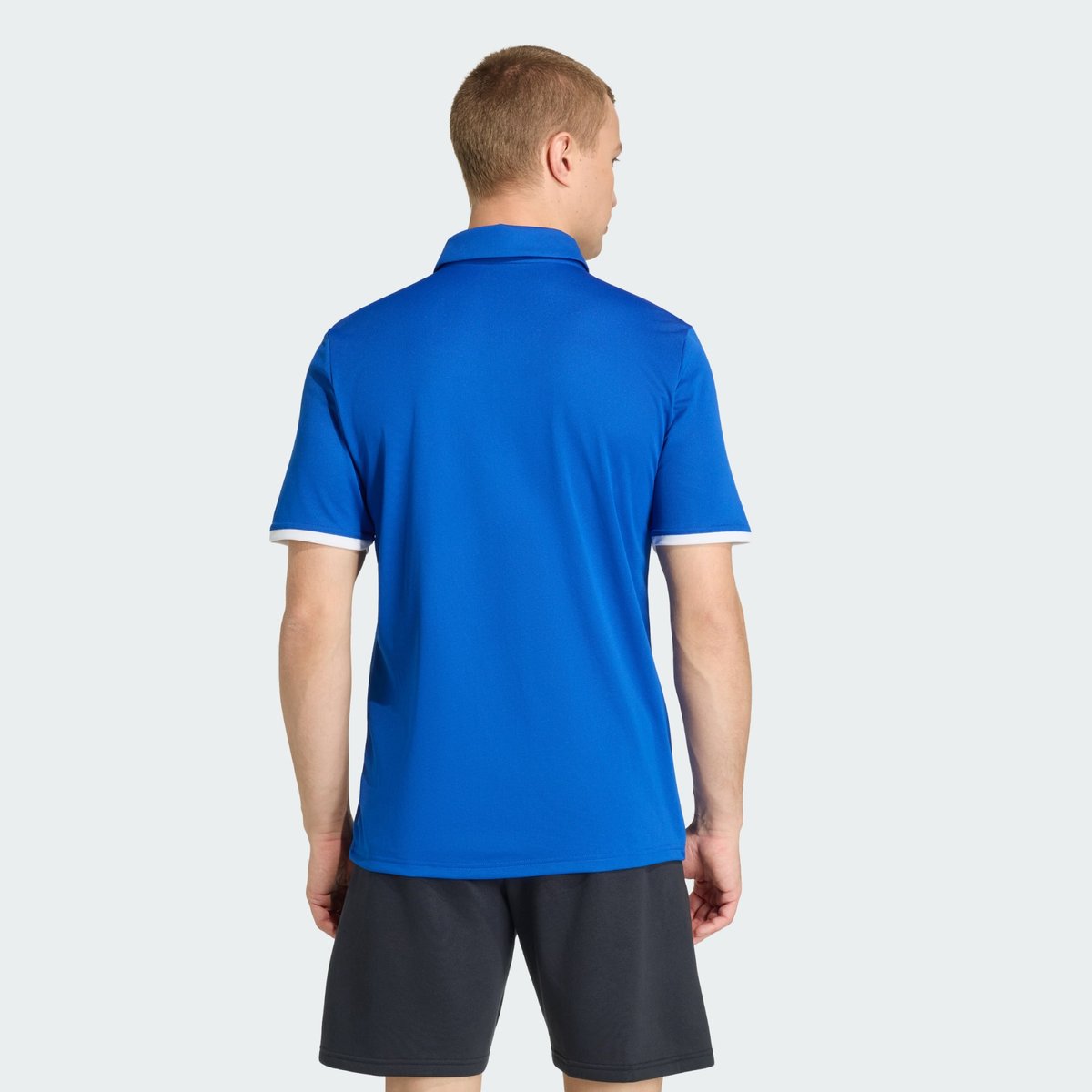 Polo Entrada26 Polo Entrada26 royal blue / white, adidas Performance