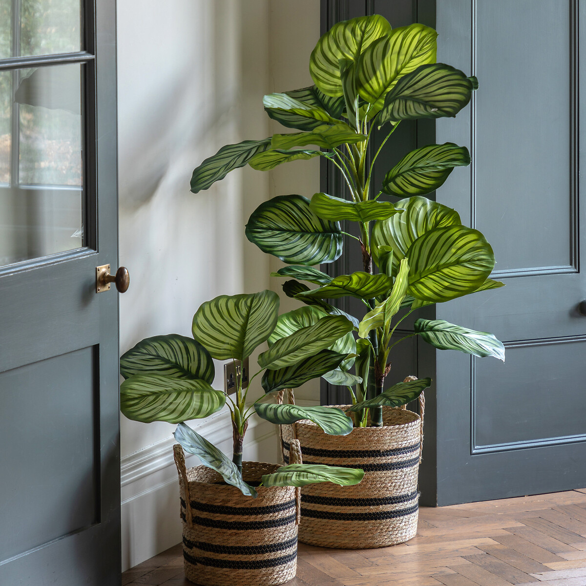 2ft Potted Calathea Leaf Tree green, ÉDITÉ
