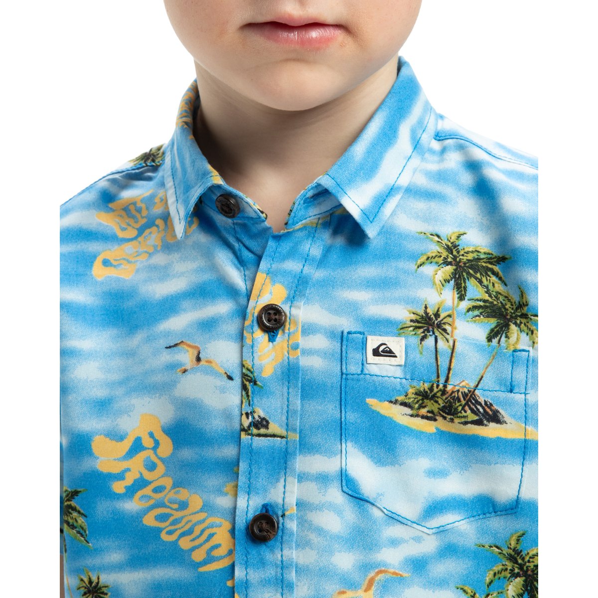 Chemise à manches courtes SAFE PARADISE bleu blue naturama 32x32, QUIKSILVER