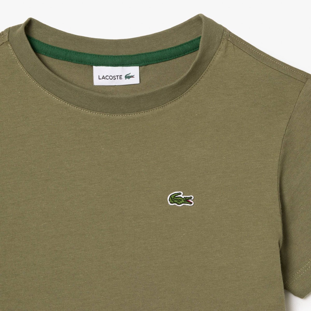 T-shirt coton vert-bmy, LACOSTE