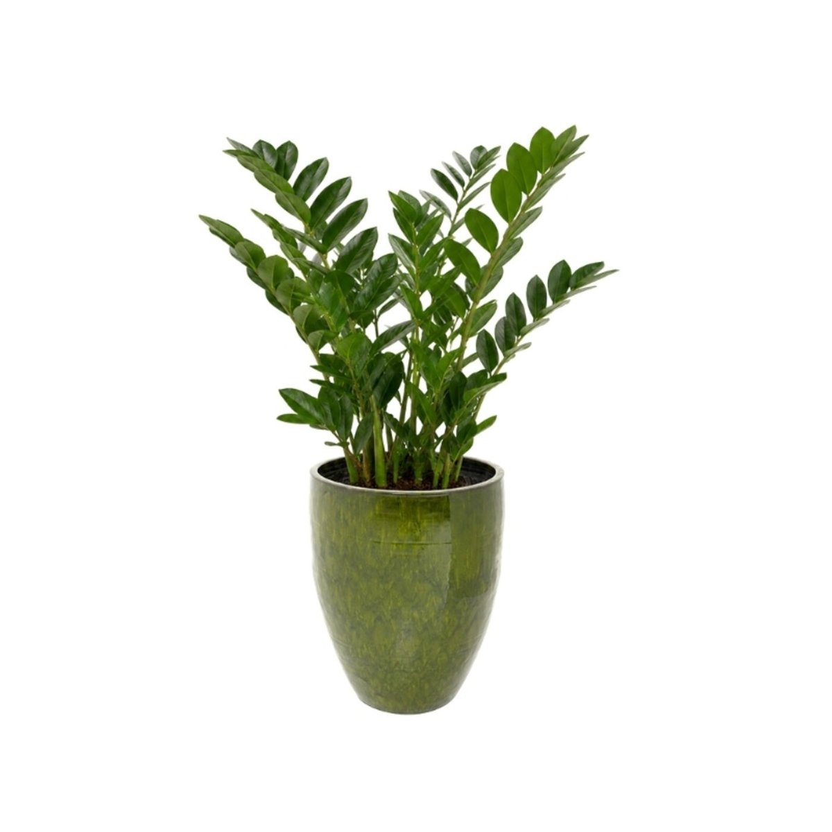 Vase en grès, CALI vert, KARE DESIGN