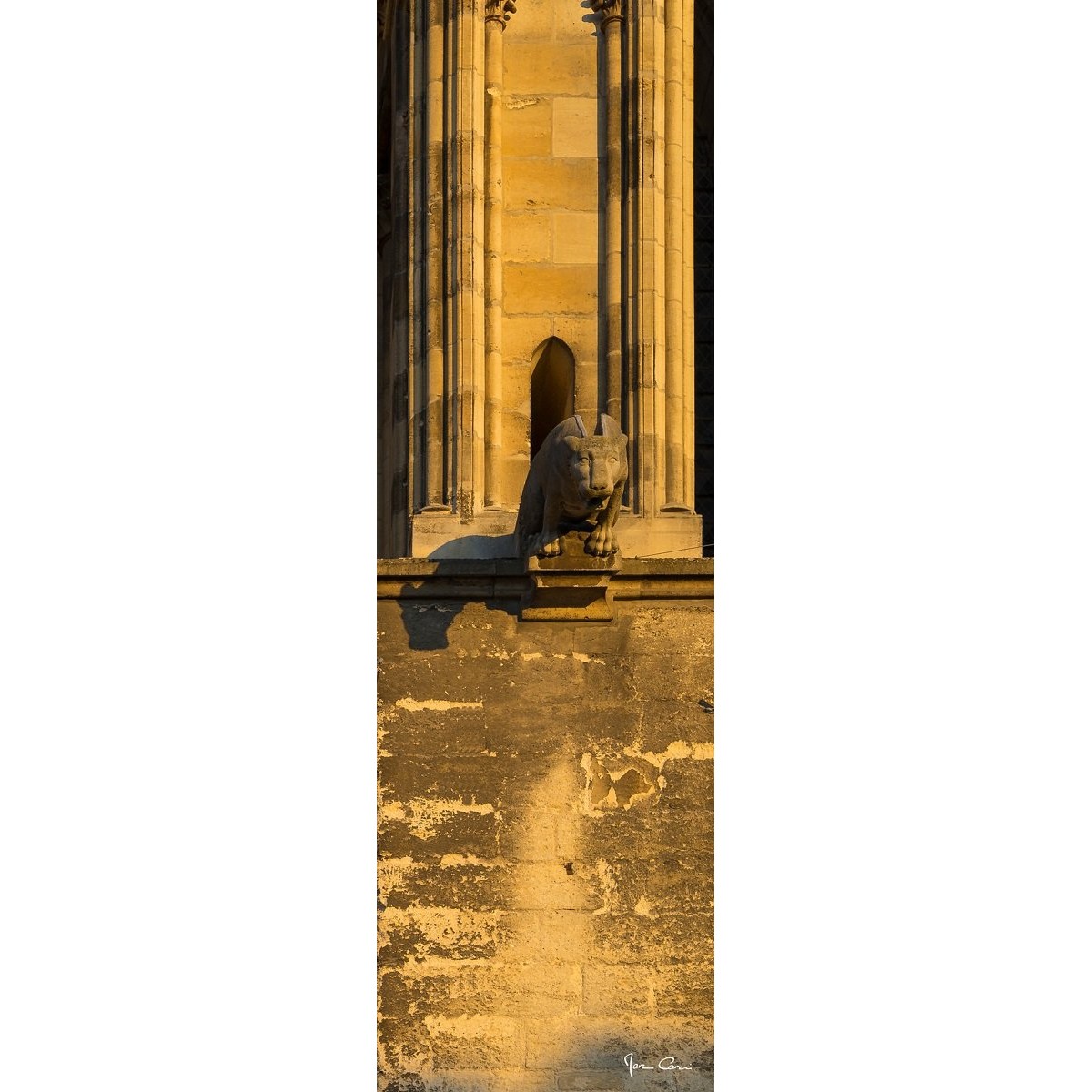 Tableau Mural Gargouille ARCHITECTURE tableaux sur toile-jaune, CEANOTHE