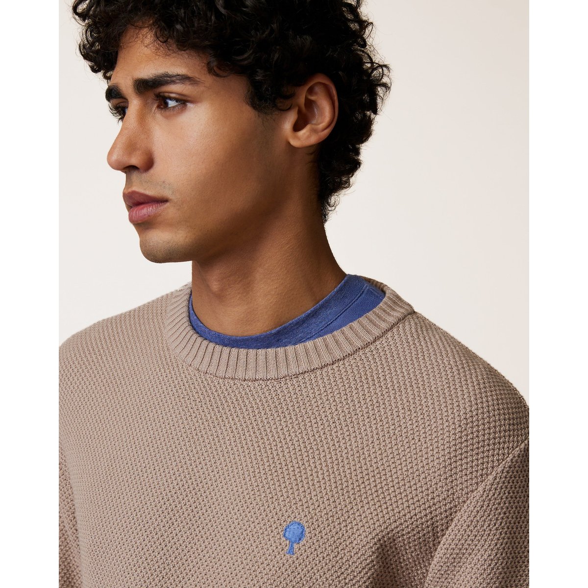Pull en maille beige foncé, FAGUO