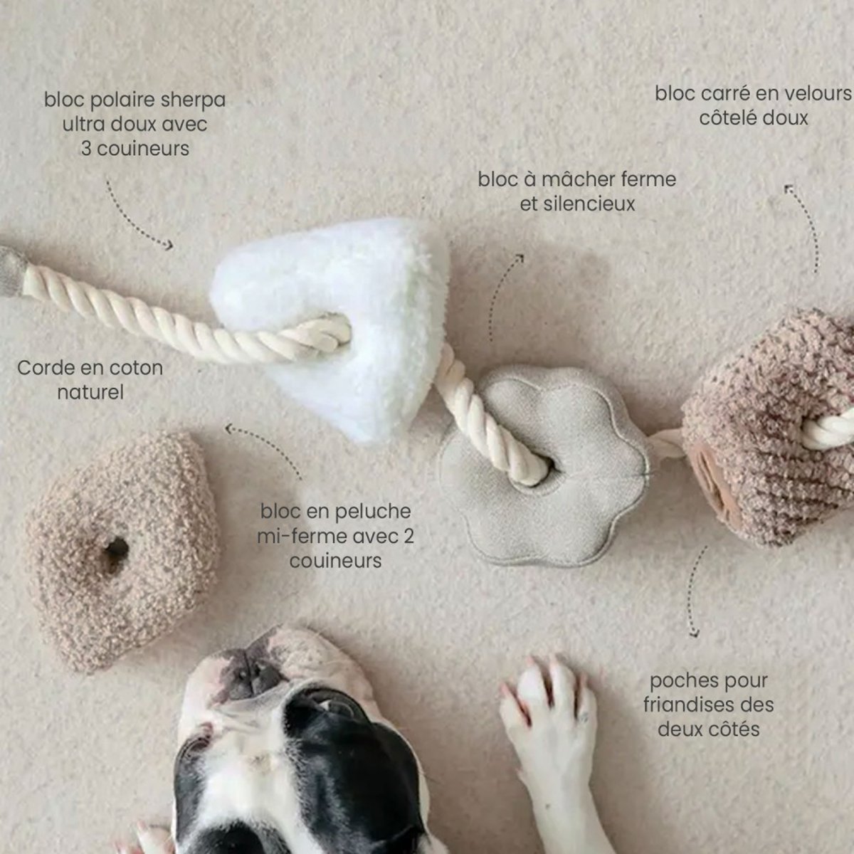 Jouet pour chien 4 blocs à mâcher, BLOOCS beige, LAMBWOLF COLLECTIVE