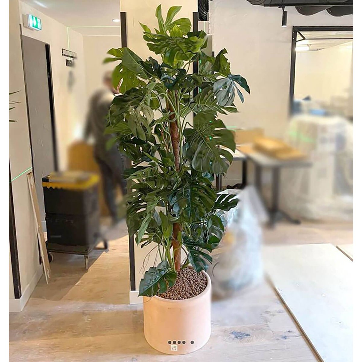 Monstera artificiel sur pied, en pot, H 1 gris, ARTIFICIELLES
