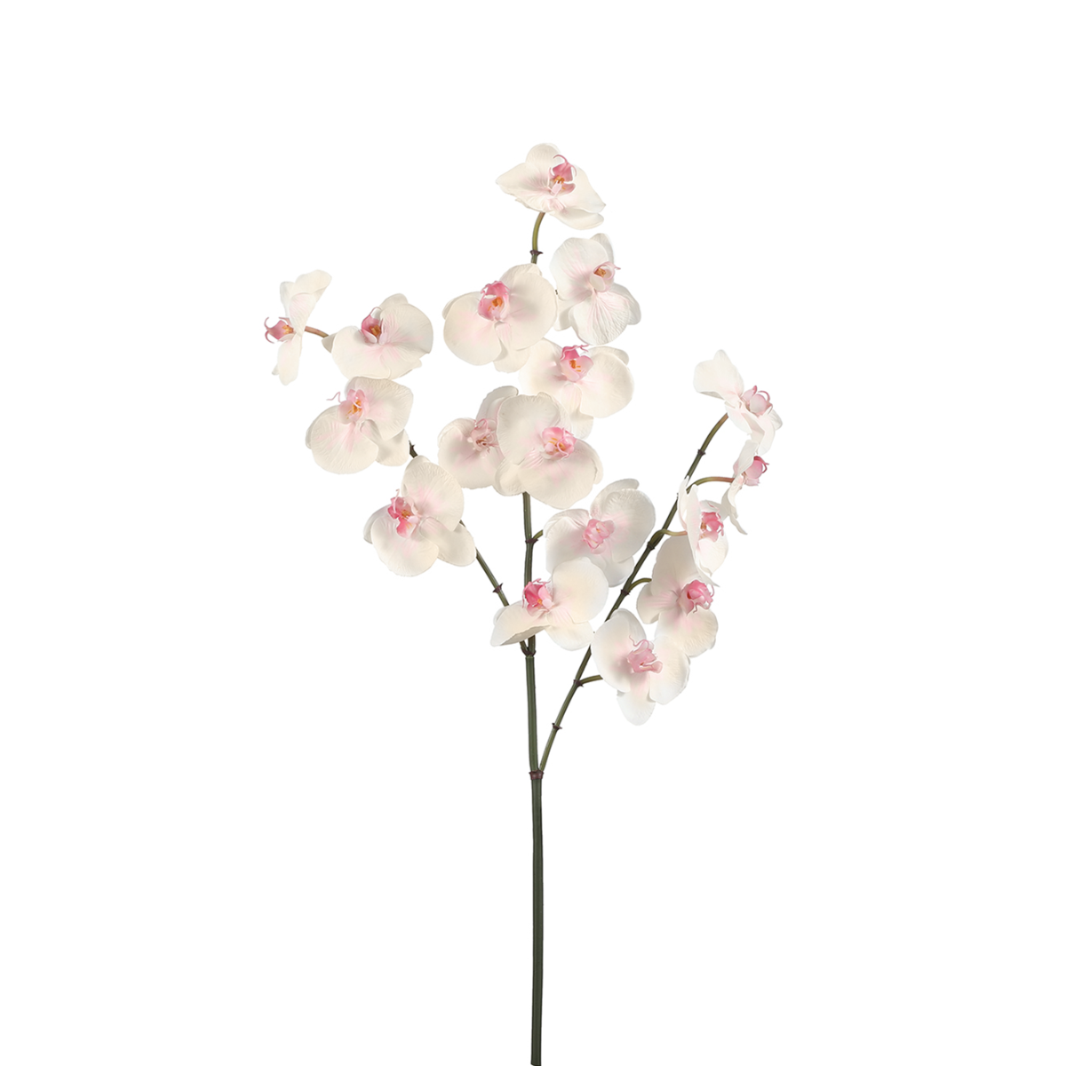 Tige d'orchidée phalaenopsis artificielle H66 PHALAENOPSIS rose, SIA DECO