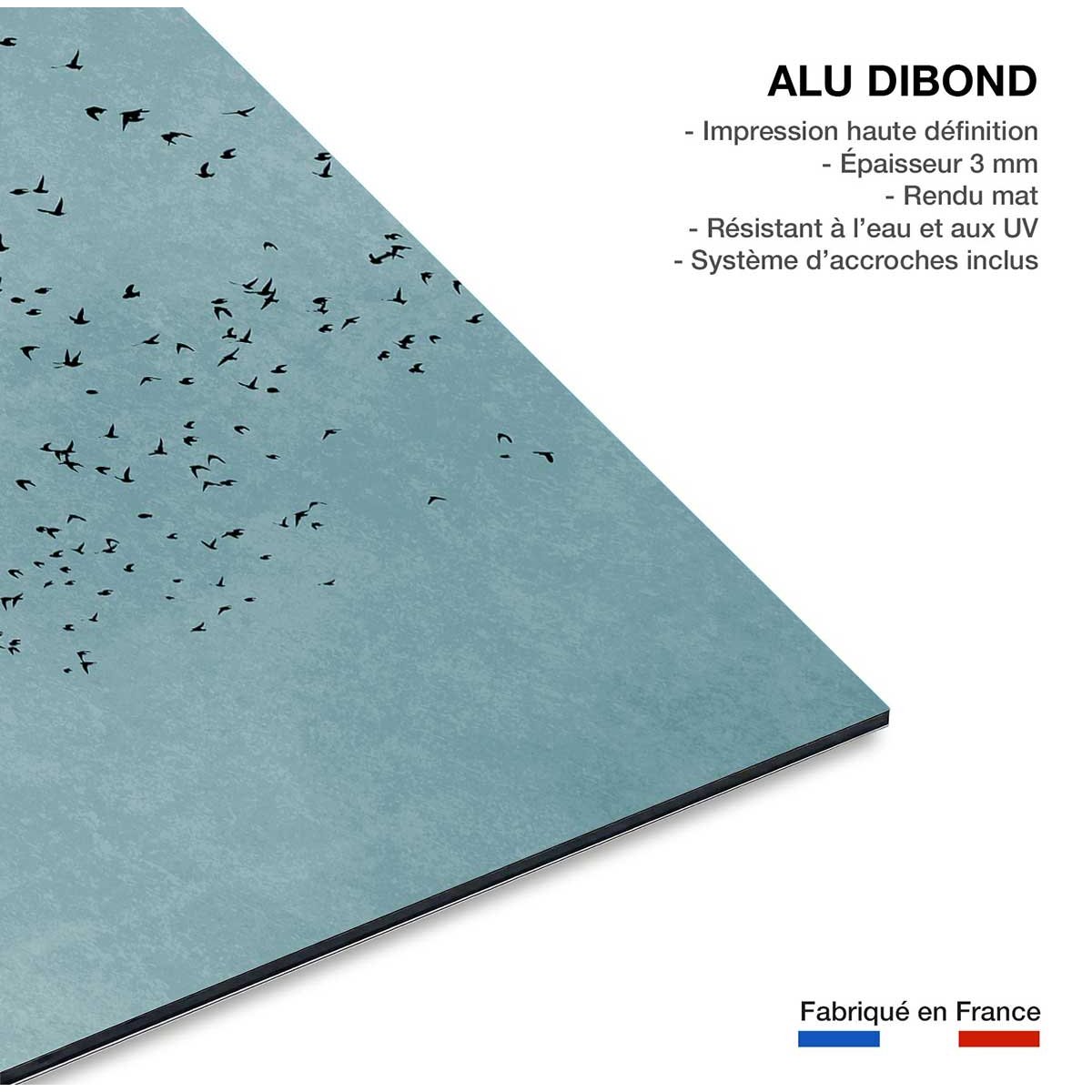 Tableau paysage Beauté du jour tableau alu dibond, HEXOA