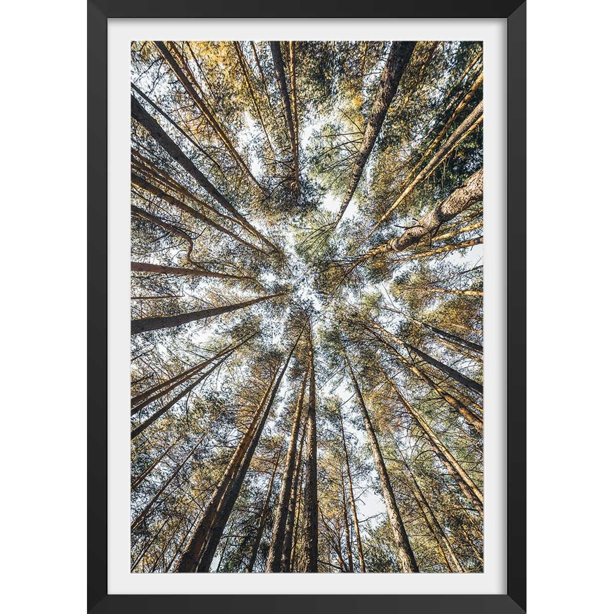 Affiche nature perspective des cîmes affiche + cadre en bois - noir, HEXOA