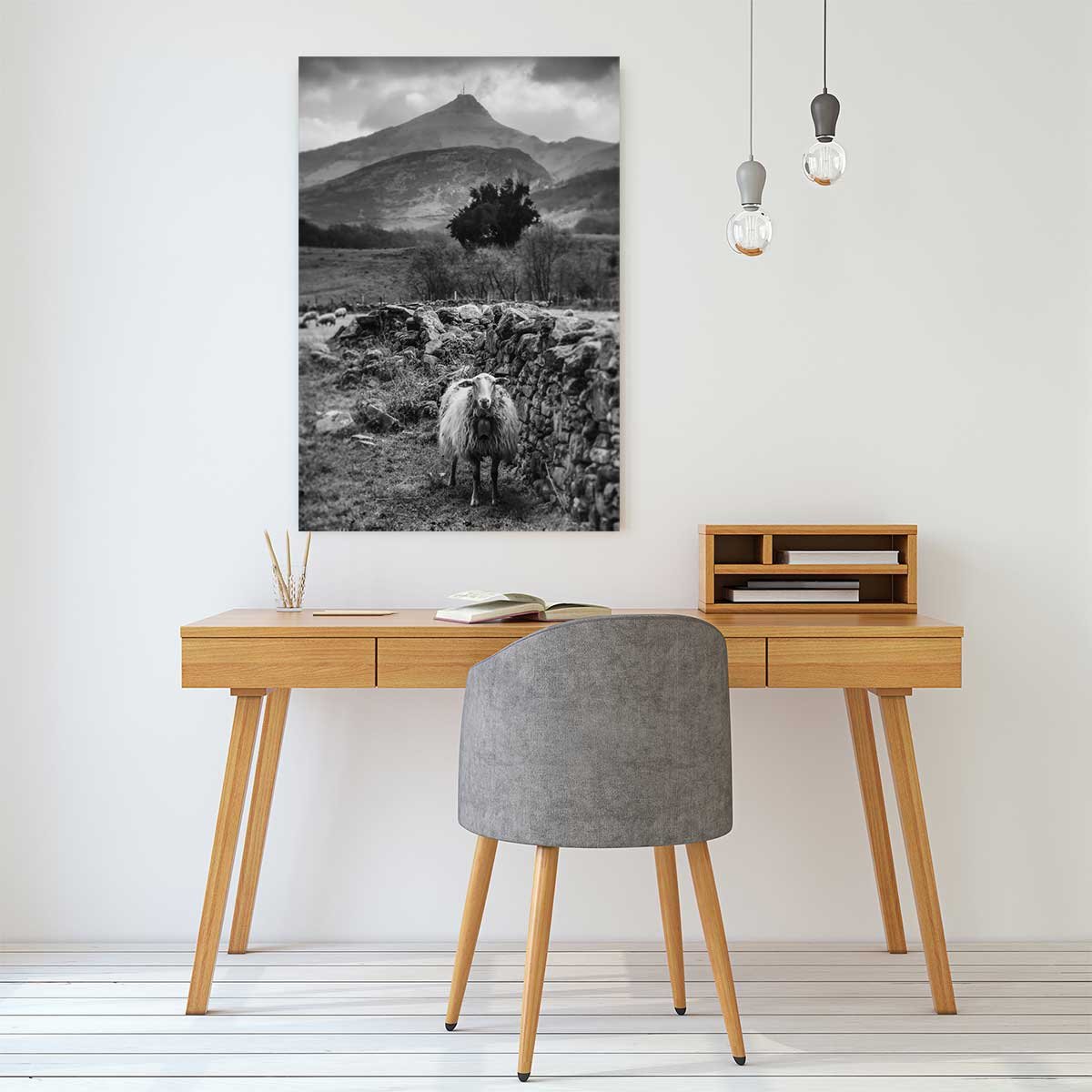 Tableau noir et blanc deco brebis tableau alu dibond, HEXOA