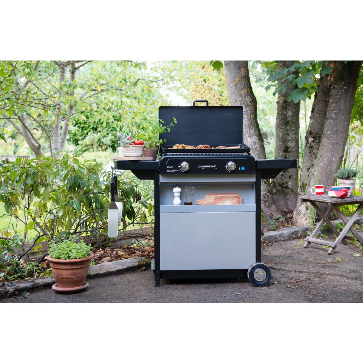 Plancha gaz BLUE FLAME EXLD 2 brûleurs sur chariot, 60x40 cm gris, CAMPINGAZ