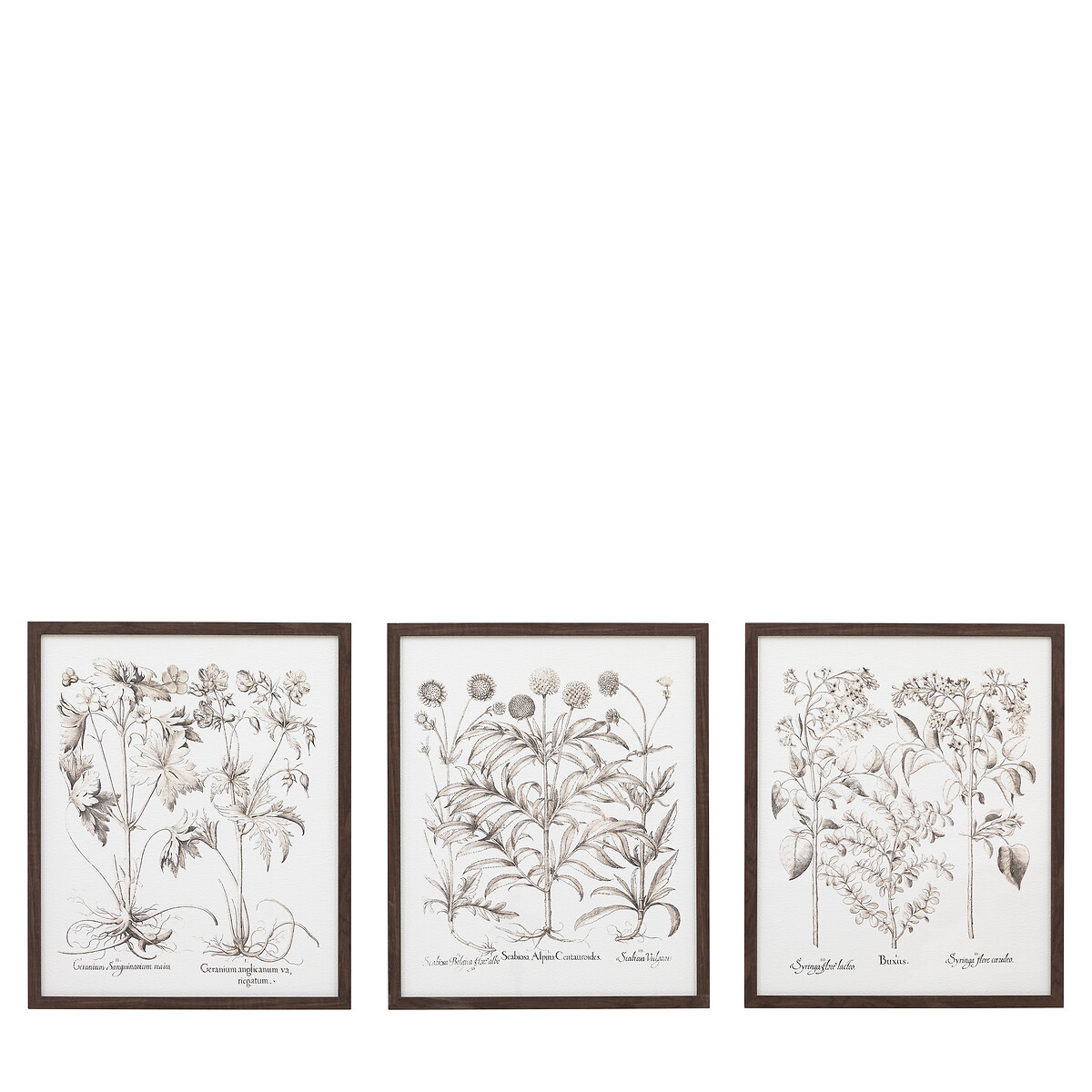 Set of 3 Evergreen Framed Art black, ÉDITÉ