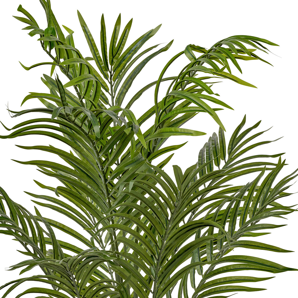 120cm Areca Palm Plant in Pot green, SO'HOME