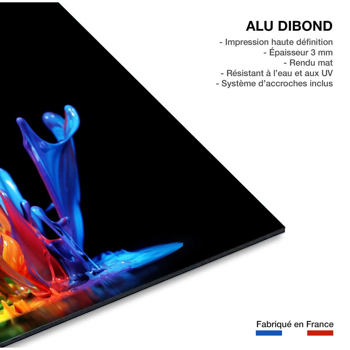 Tableau deco splash tableau alu dibond, HEXOA