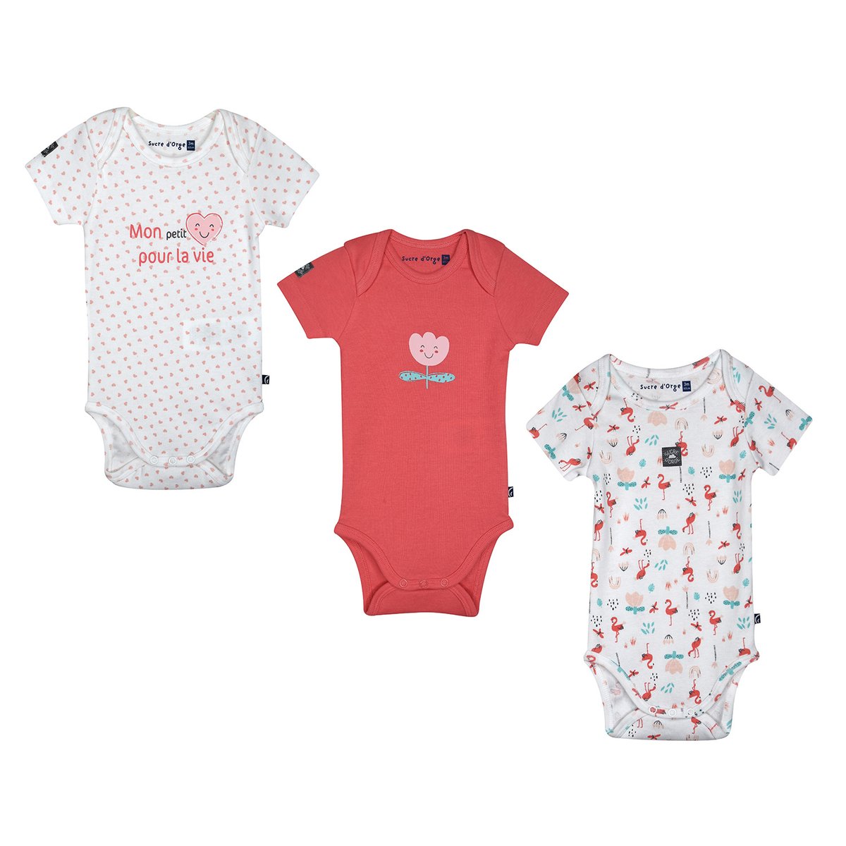 Lot de 3 bodies nordine manches courtes bebe rose, SUCRE D'ORGE