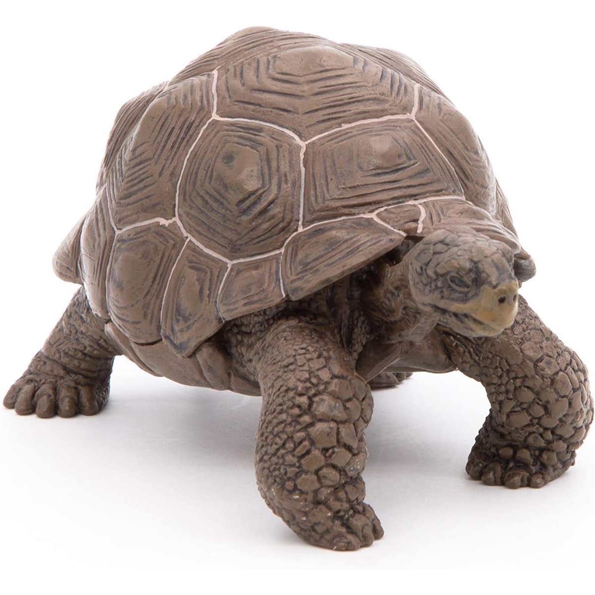 Figurine Tortue des galapagos marron, PAPO