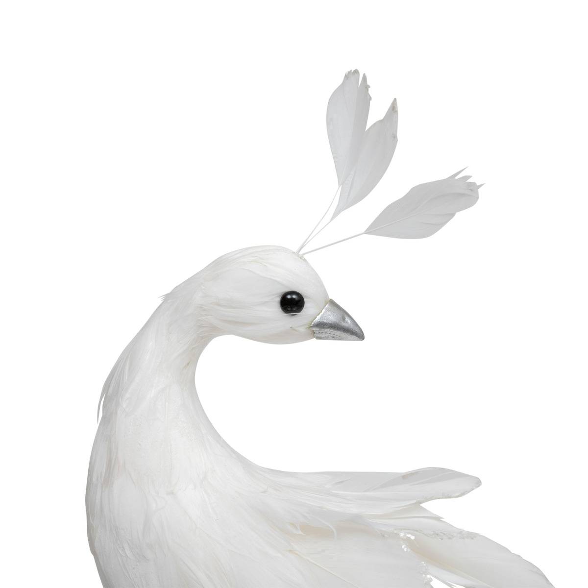 Paon de Noël blanc en plumes H. 60 cm blanc, FEERIC LIGHTS & CHRISTMAS