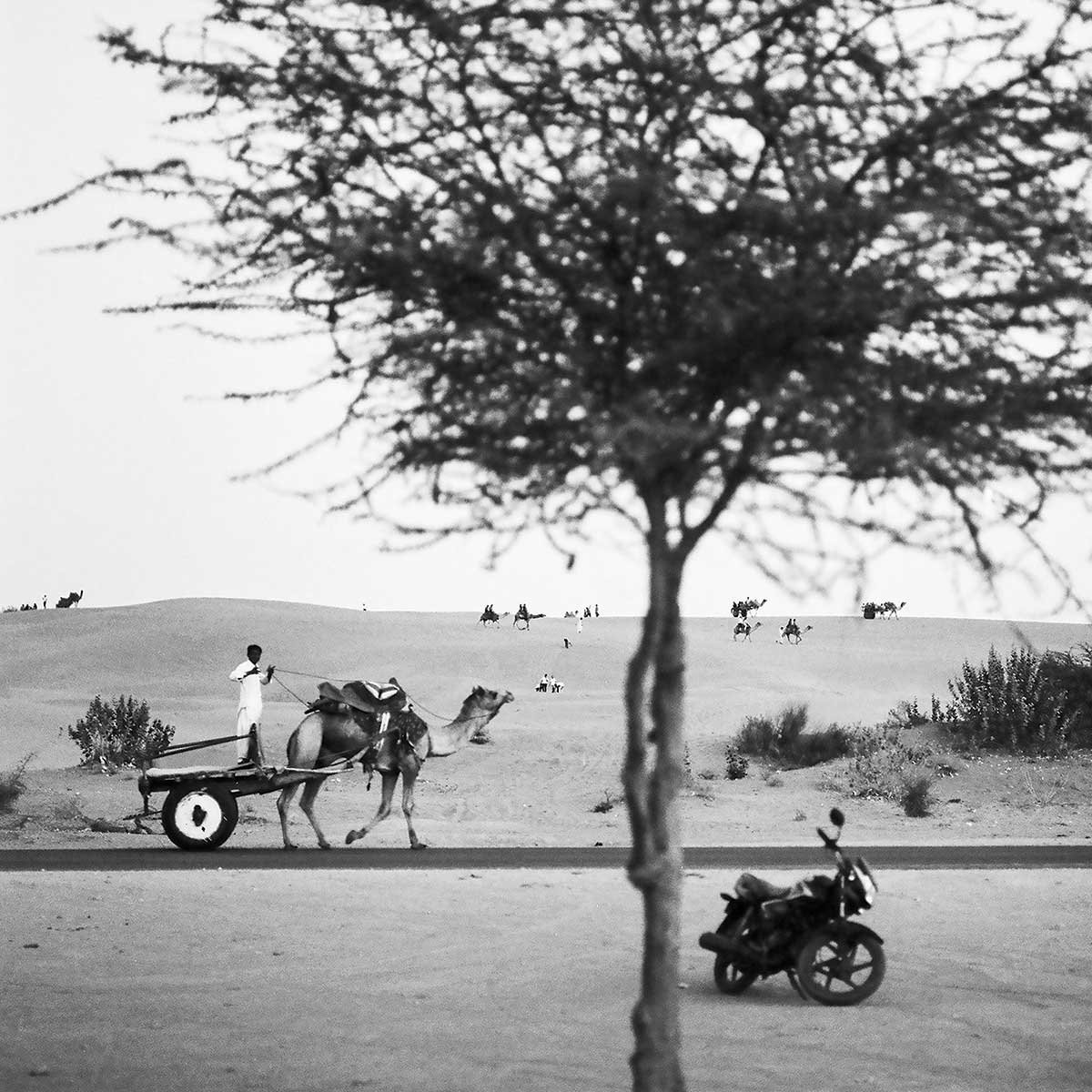 Poster photo paysage ""jaisalmer, rajasthan"" affiche + cadre en bois - noir, HEXOA