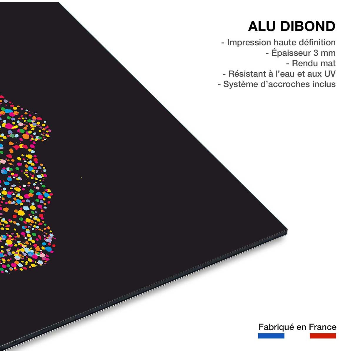 Tableau abstrait sensa tableau alu dibond, HEXOA