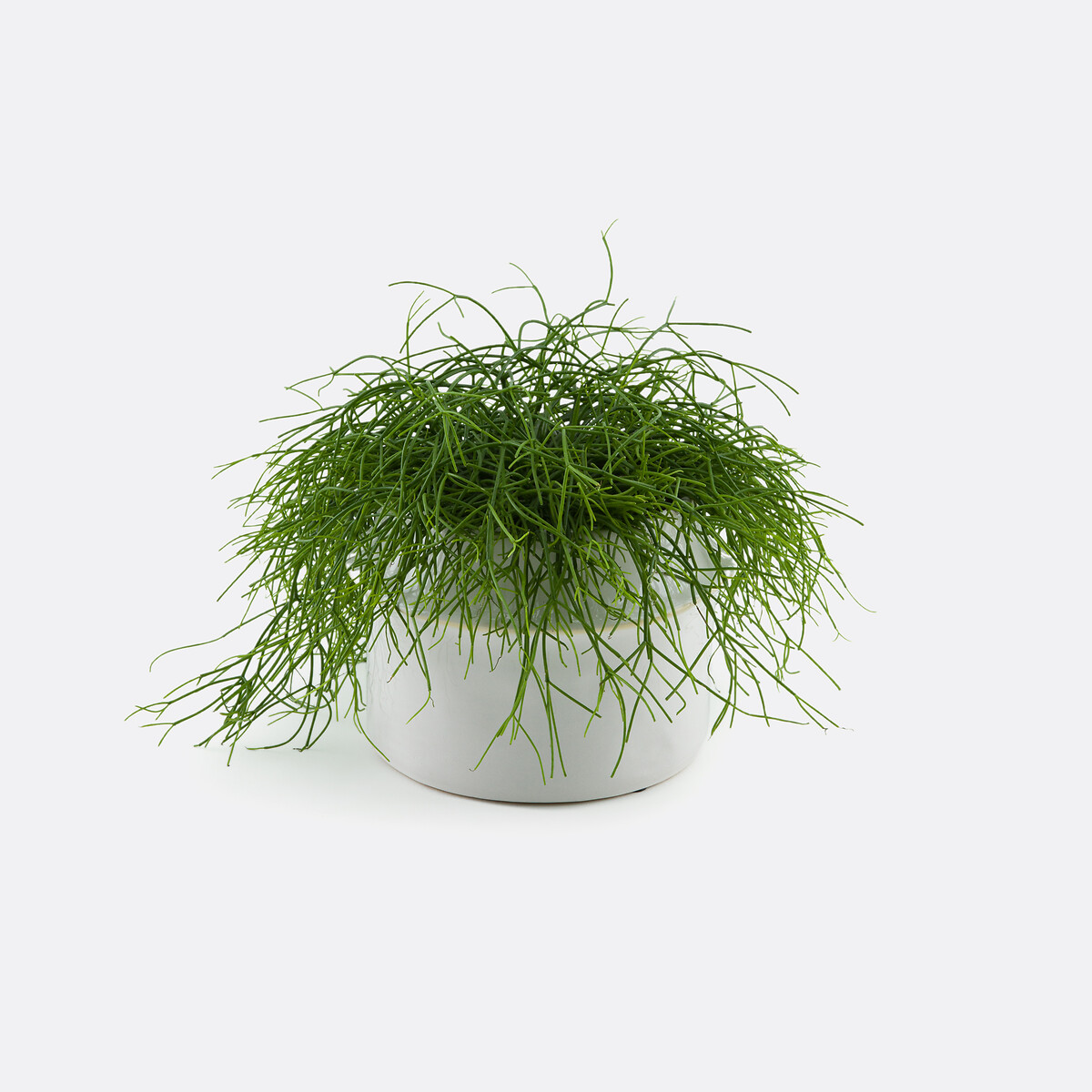 Filipio 25cm Diameter Ceramic Flower Pot white, LA REDOUTE INTERIEURS