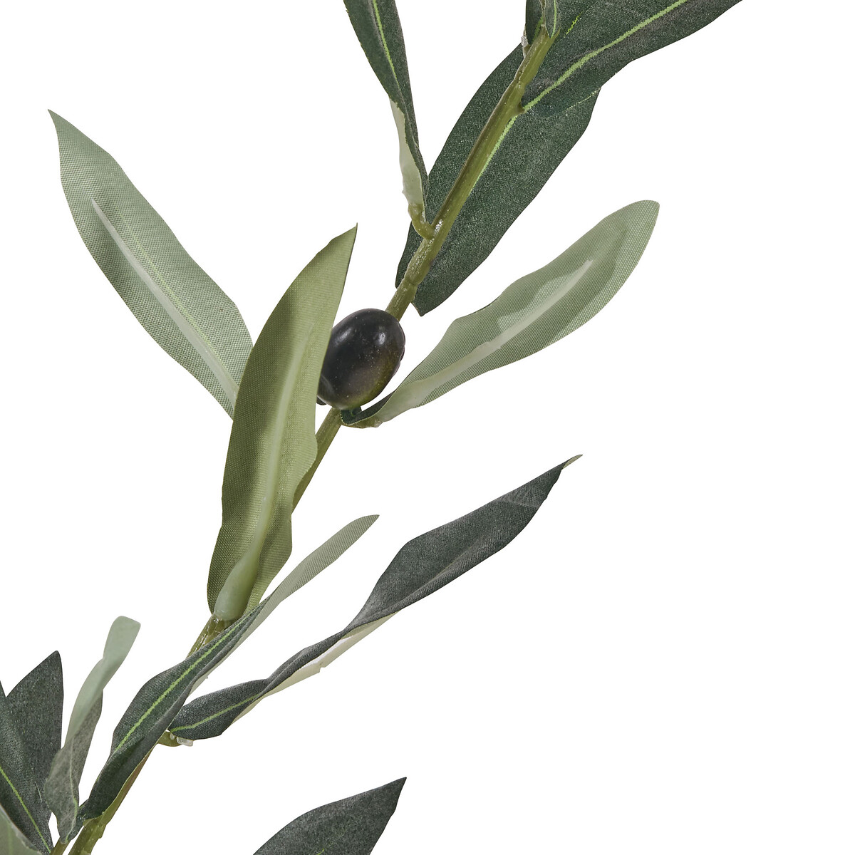 150cm Olive Tree in Pot green, SO'HOME