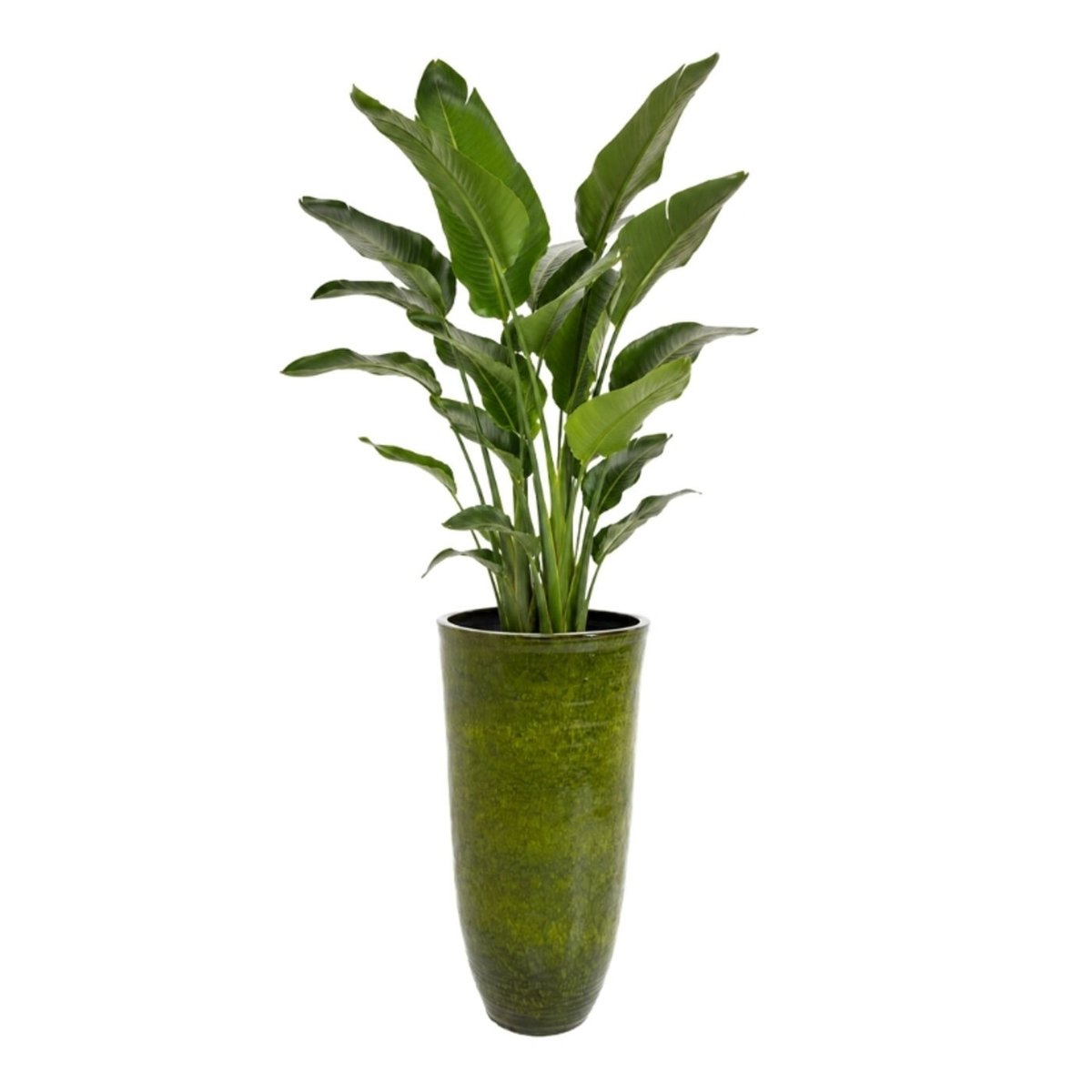 Vase XL en grès, CALI vert, KARE DESIGN