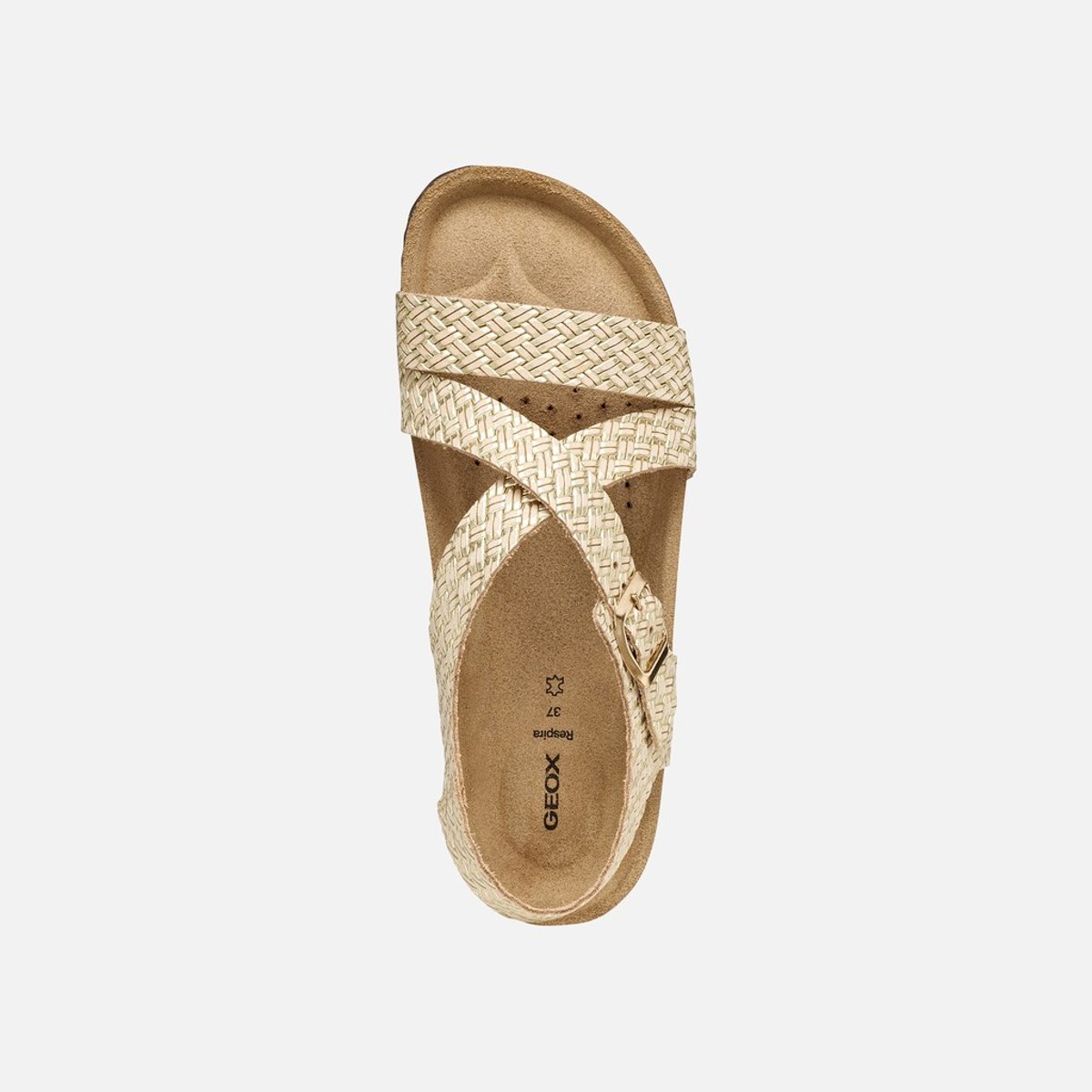 Sandales  D BRIONIA or clair, GEOX