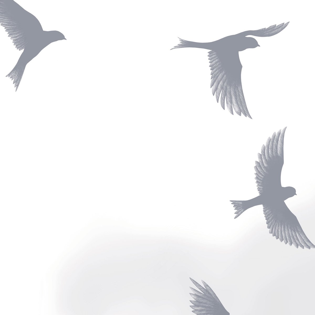 Papier peint panoramique Murmuration, Beige 525 x 250cm gris, ACTE DECO