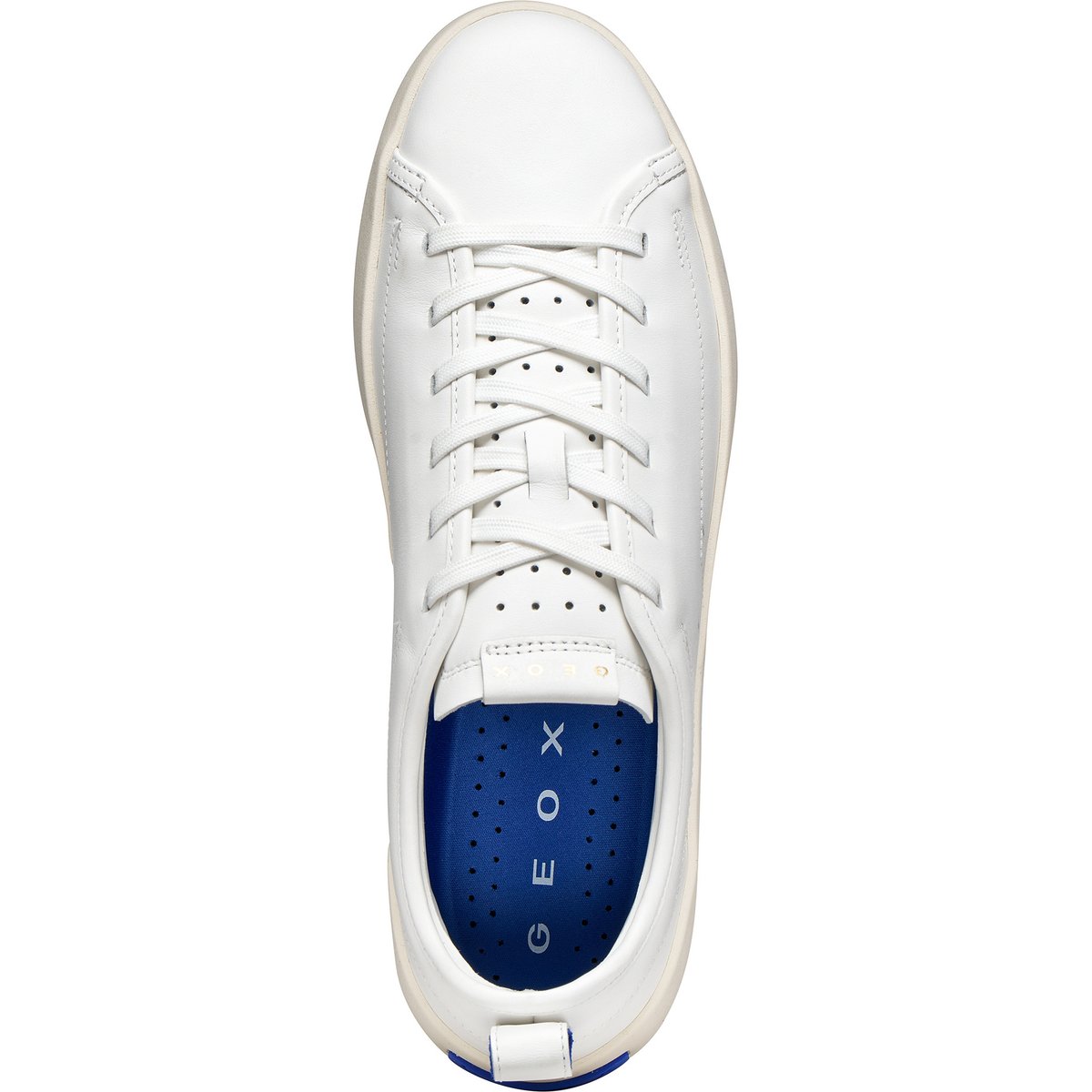 Femme U GXCP-01 blanc, GEOX