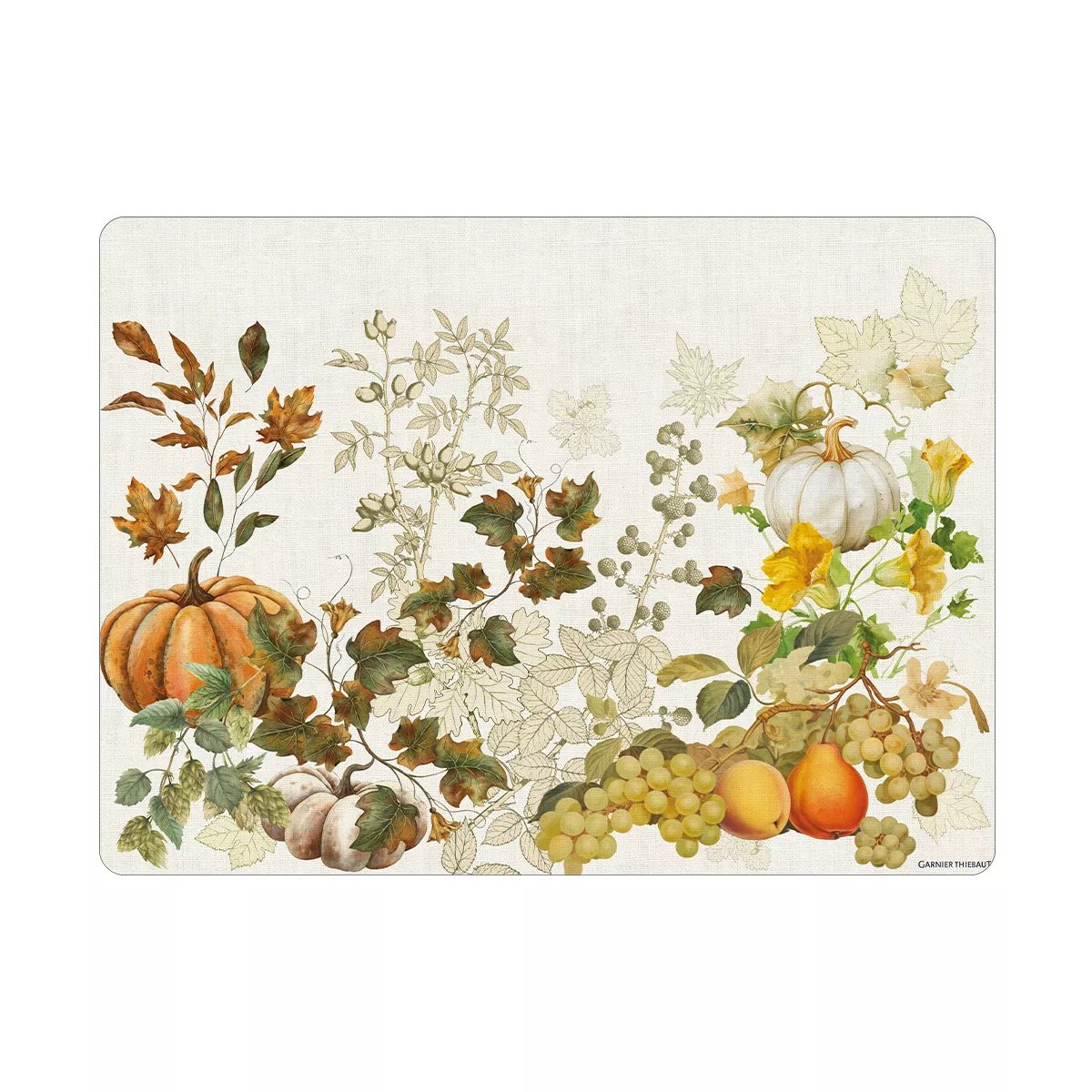 Set vinyle DELICES D'AUTOMNE potiron, GARNIER THIEBAUT
