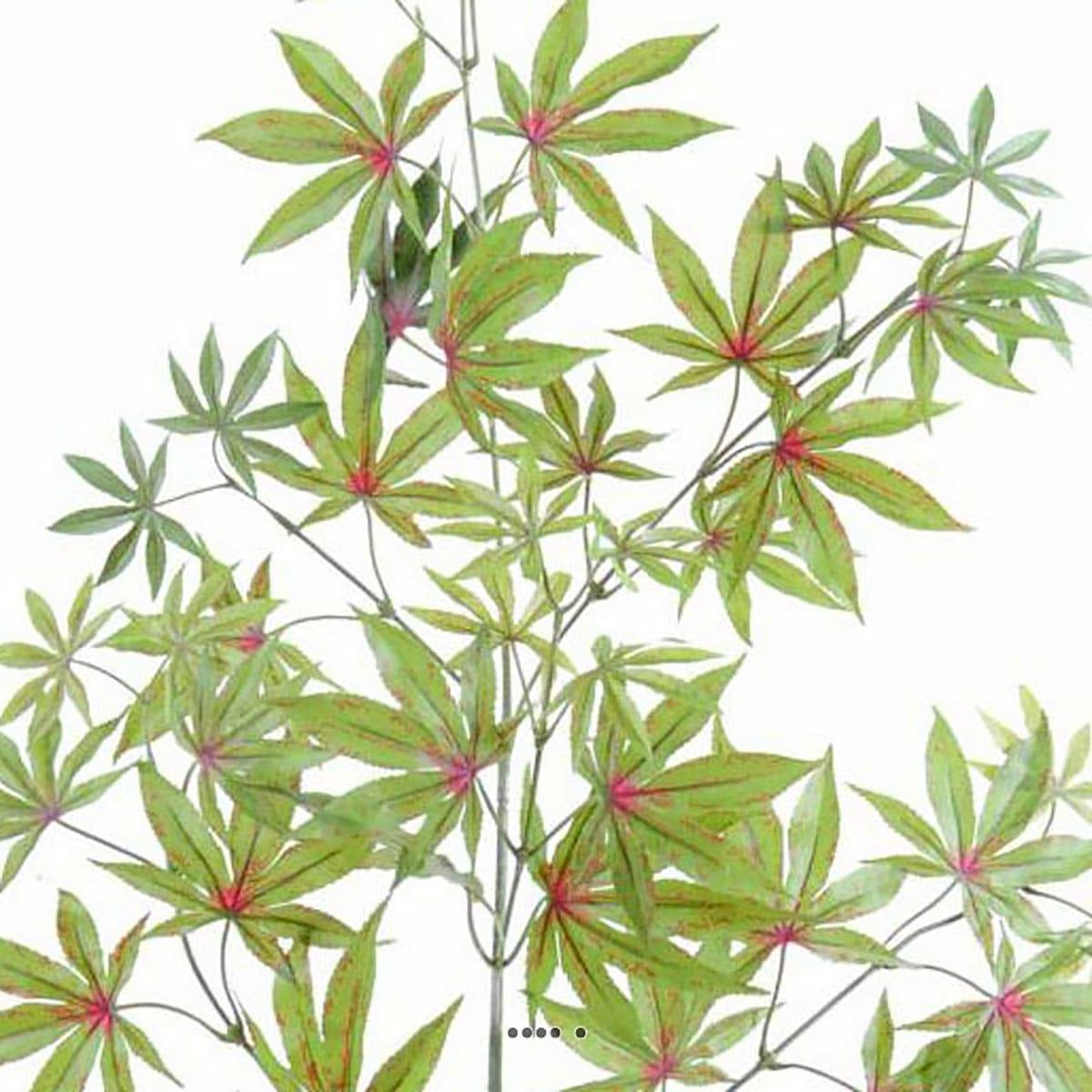 Branche d'aralia artificielle H 7 v002239, ARTIFICIELLES