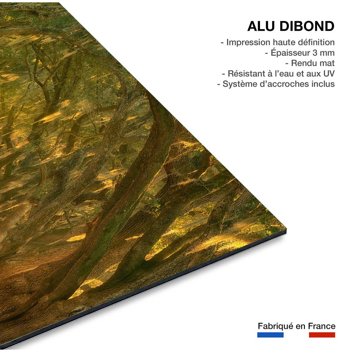 Tableau Allee enchanteresse tableau alu dibond, HEXOA