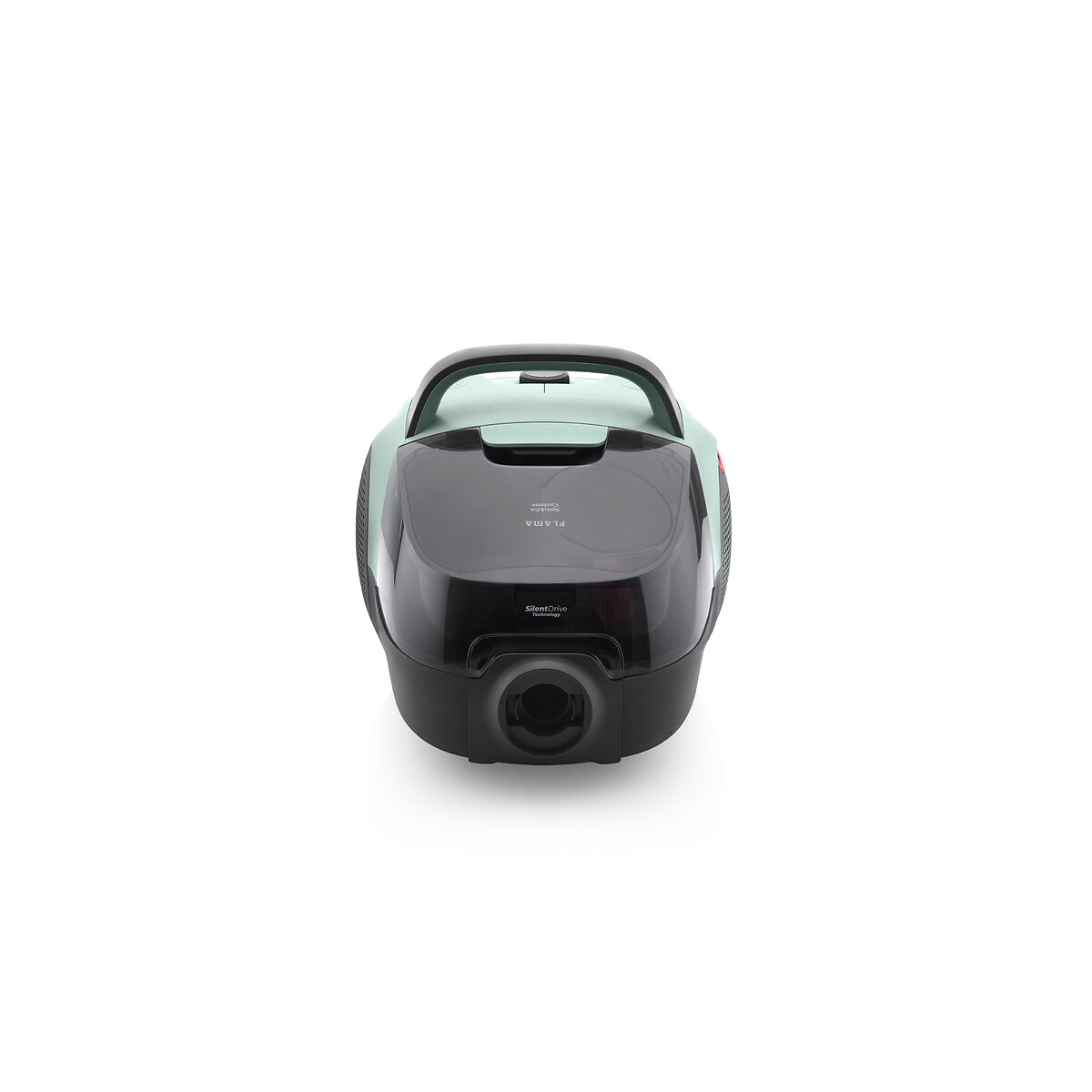 Aspirador Sem Saco Spin&Go Cyclone 800W 1687FL, FLAMA verde, FLAMA