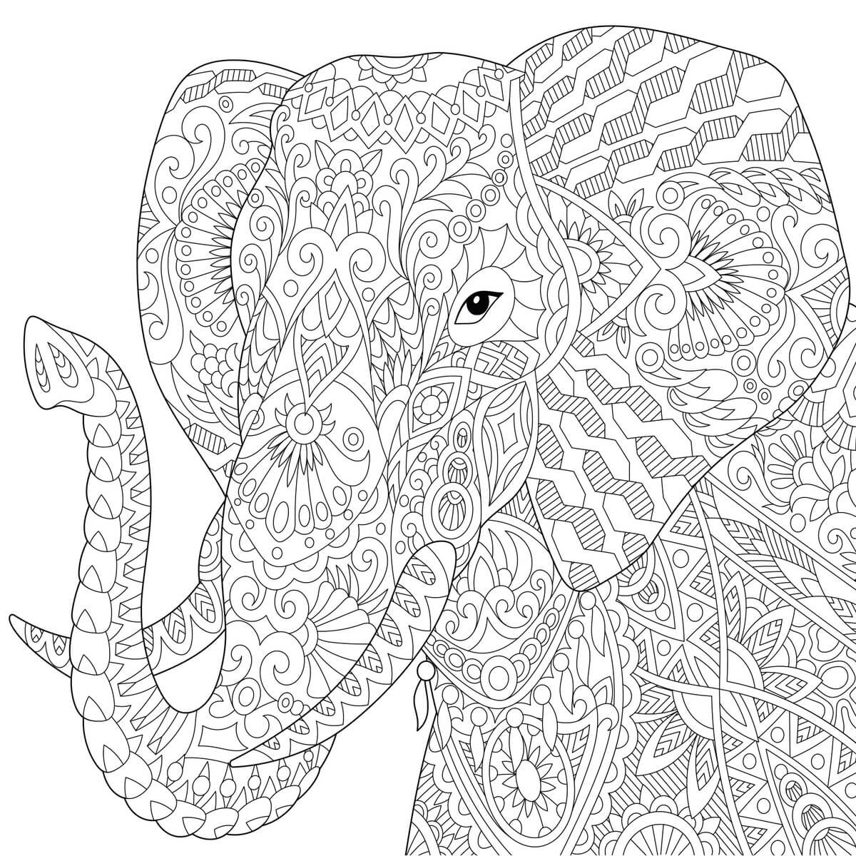 Tableau Mural Éléphant À Colorier ENFANT tableaux sur toile-blanc, CEANOTHE