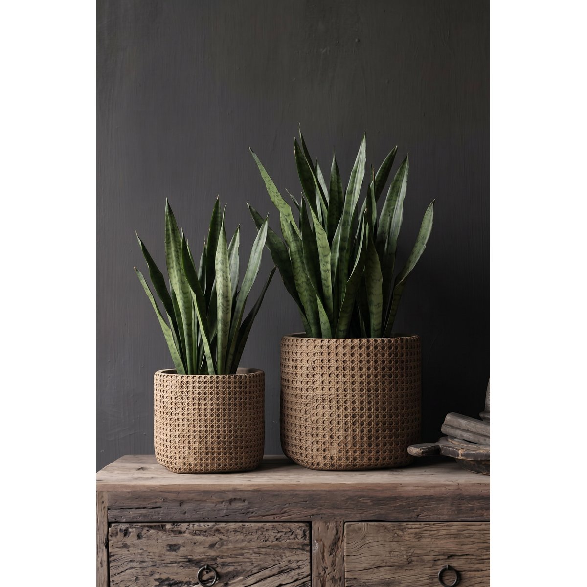 Cache-pot en béton RATTANROCK beige, BAZAR BIZAR