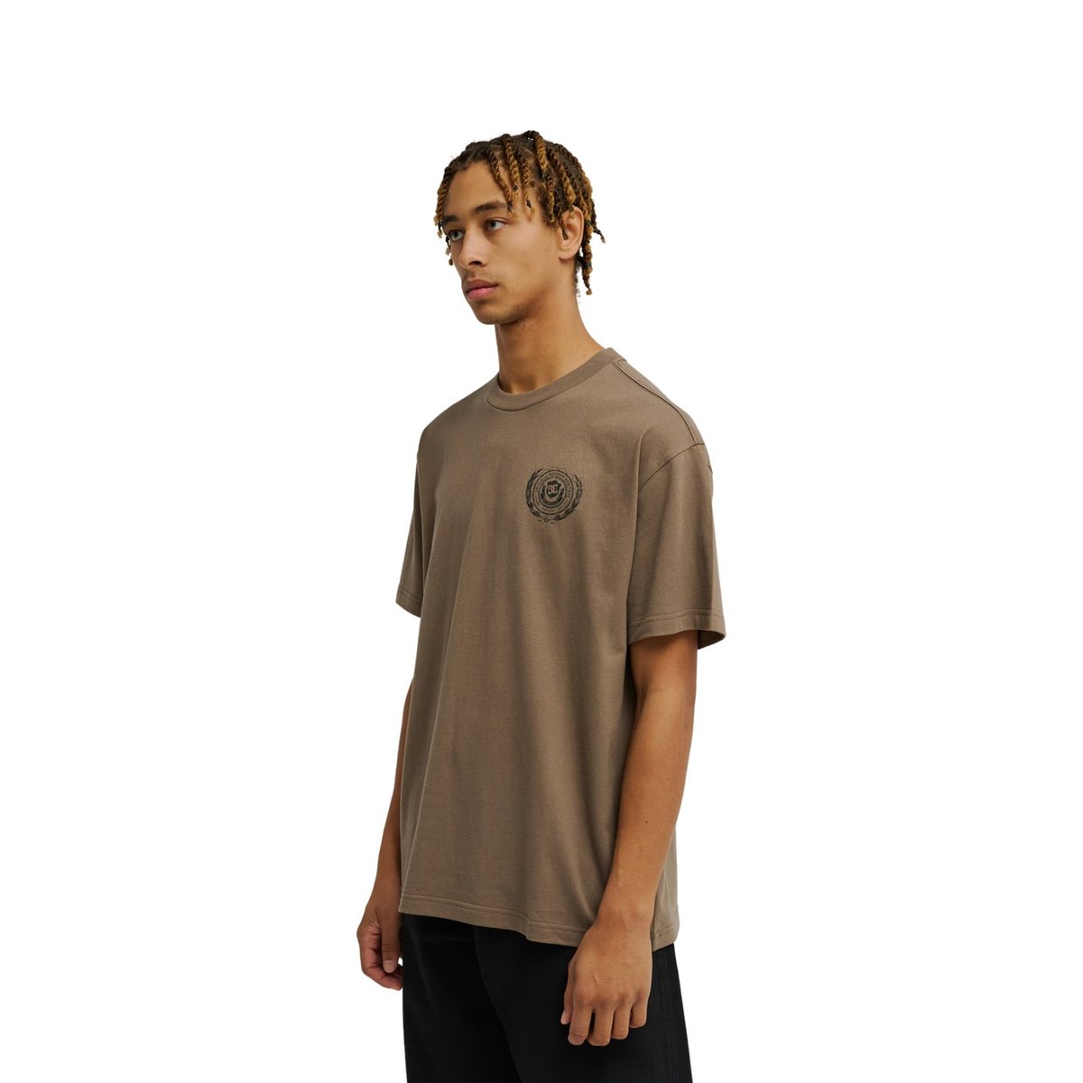 T-Shirt manches courtes. marron morel, DC SHOES