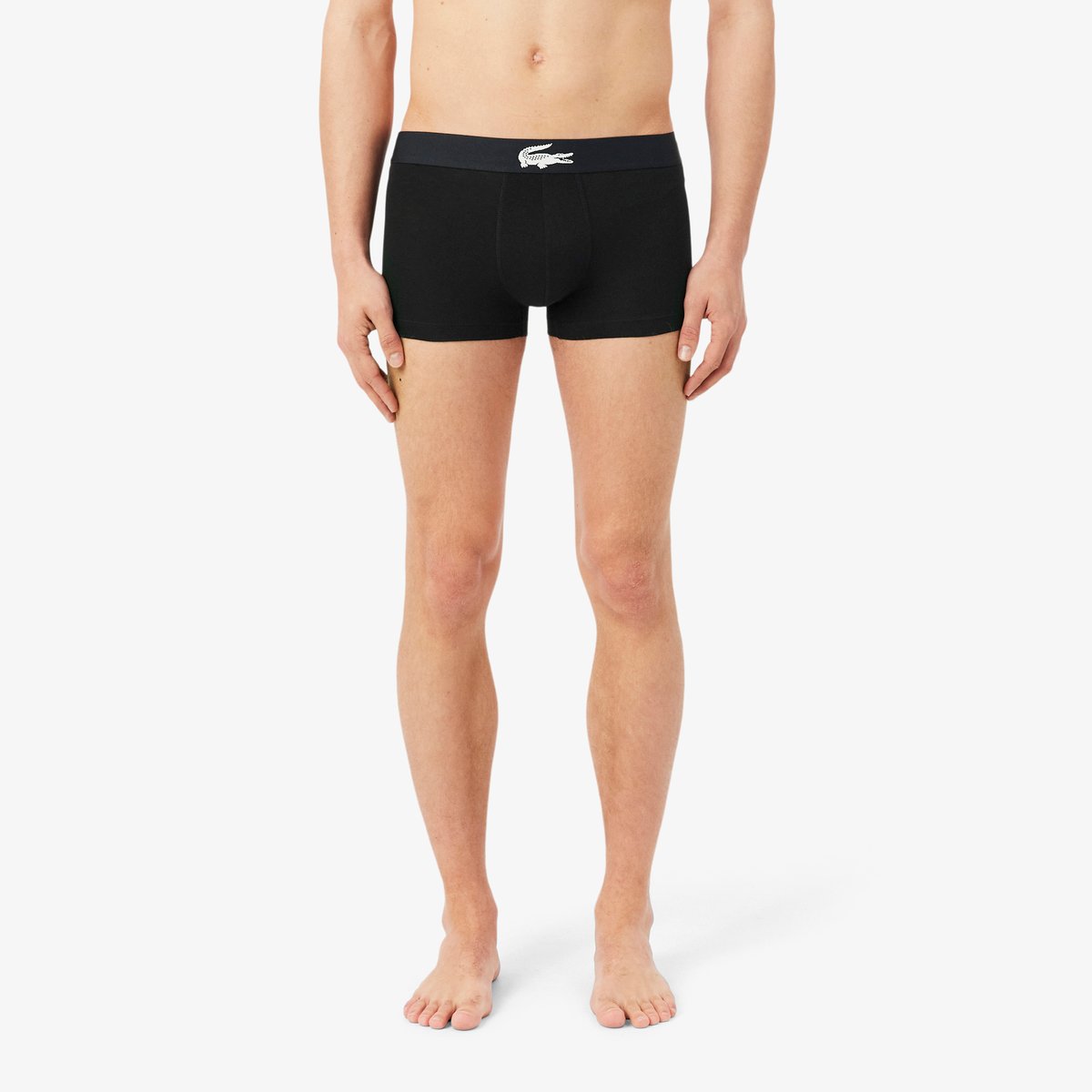 Lot de 3 boxers courts jersey stretch noir-031, LACOSTE