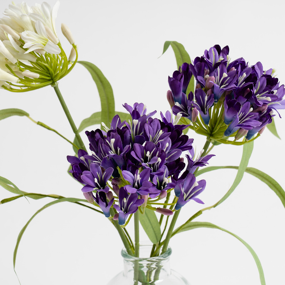 40cm Agapanthus Arrangement in Glass Vase purple, SO'HOME