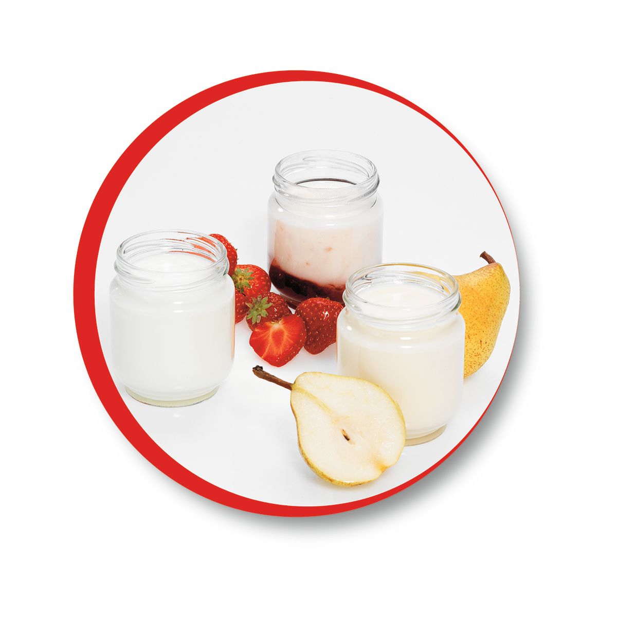 Yaourtière Yogurteo 7 pots YG231E32 silver, MOULINEX
