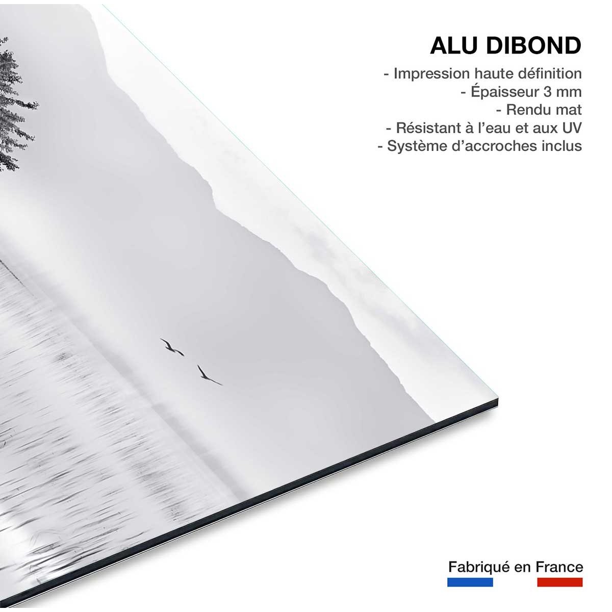 Tableau nature reflets d'eau tableau alu dibond, HEXOA