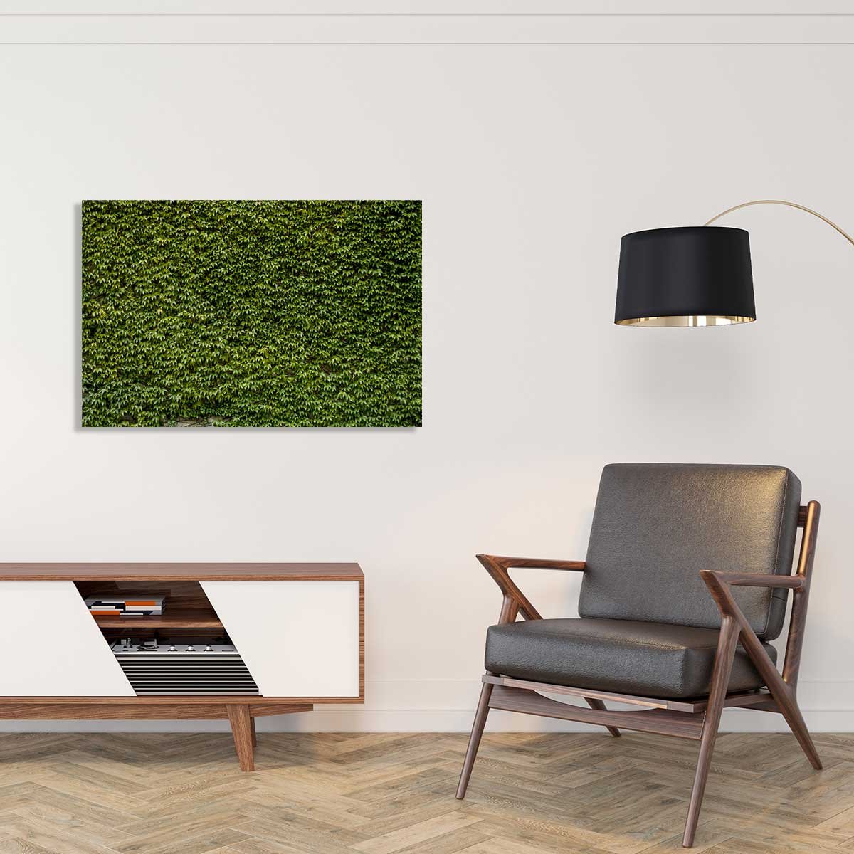 Tableau nature mur de lierres tableau alu dibond, HEXOA