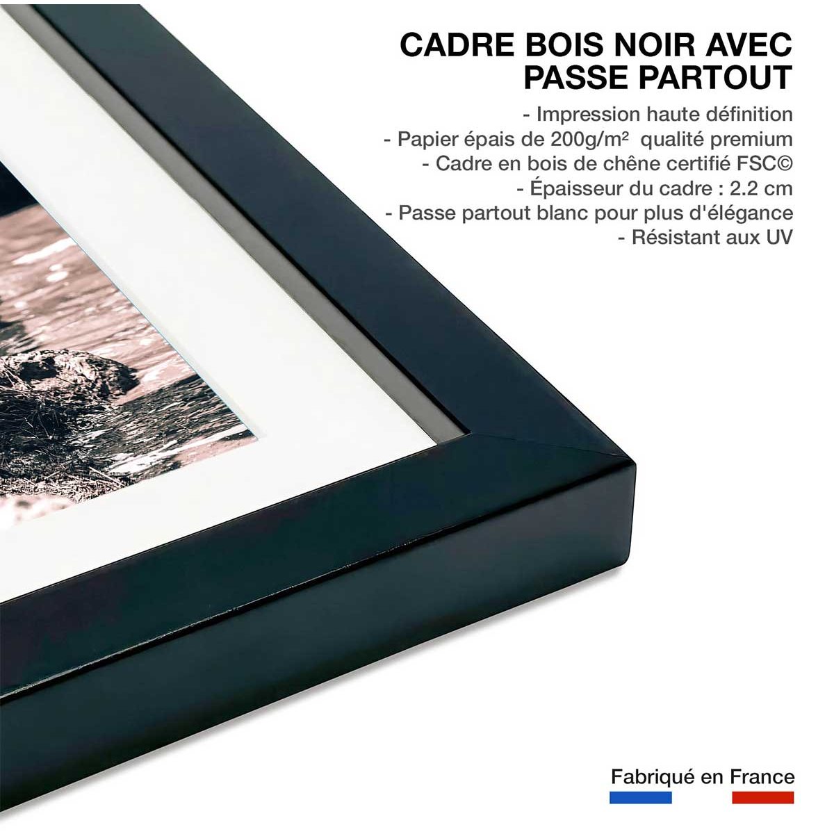 Affiche rhinoceros affiche + cadre en bois - noir, HEXOA