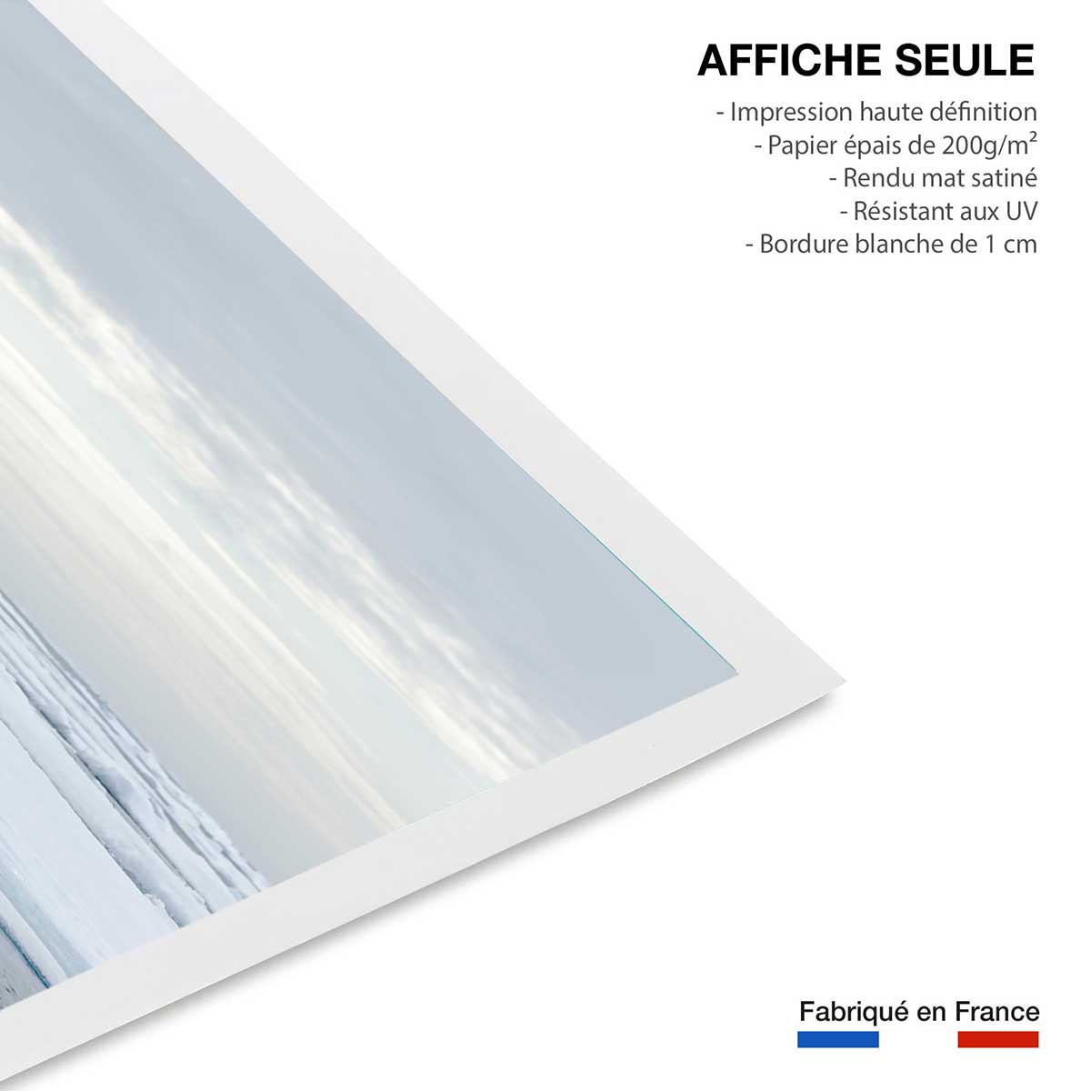 Affiche ours blanc sur la banquise affiche seule, HEXOA