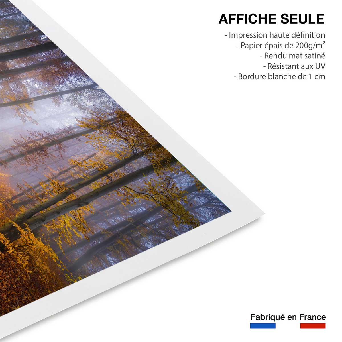Affiche Chemin d'automne affiche seule, HEXOA