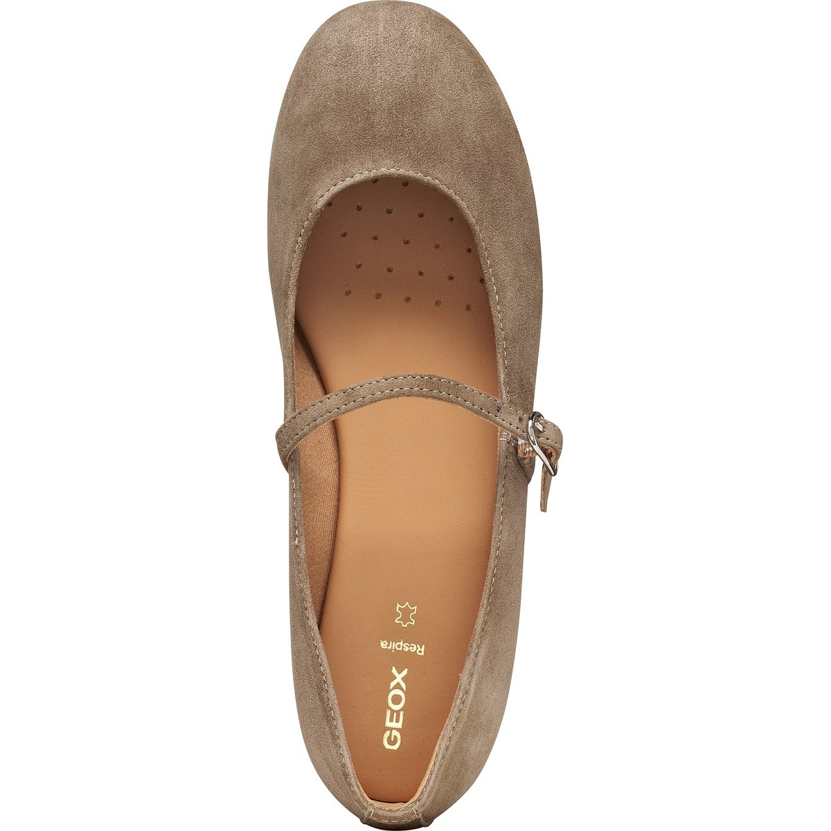 Ballerines D NEW PALMARIA taupe, GEOX