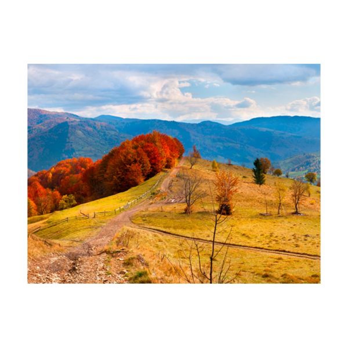 Papier peint intissé panoramique Paysage Couleurs d'automne, Carpates orange / cuivré, EDEN