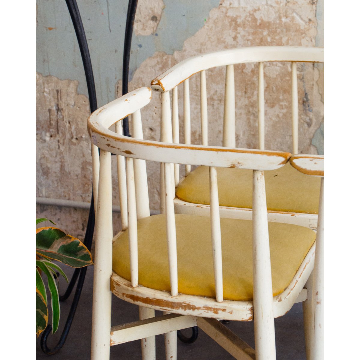 Lot de 4 chaises courbées Claude N°1251 - Bon état bois clair, DEBONGOUT
