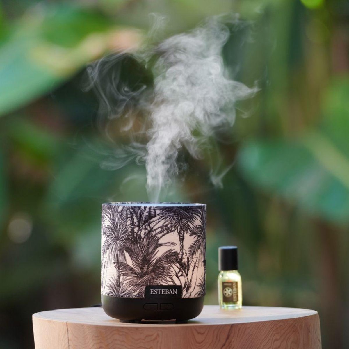 Parfum d'intérieur - Diffuseur Easy living black jungle marron, ESTEBAN