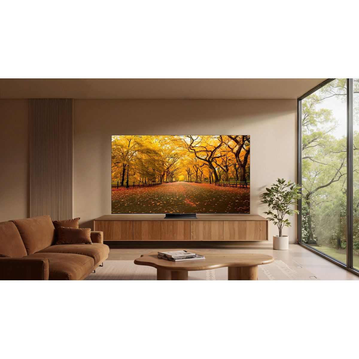 TV Mini LED 65C89L (2026) 65" (164 cm) couleur unique, TCL