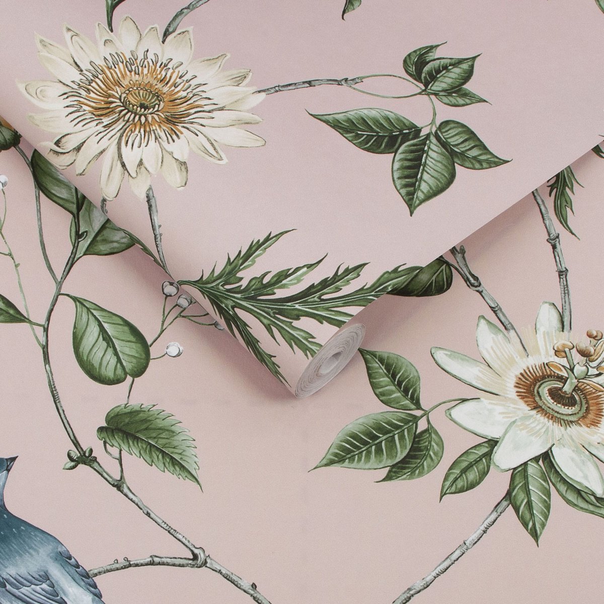 Papier peint Nuit Blush rose, GRAHAM ET BROWN