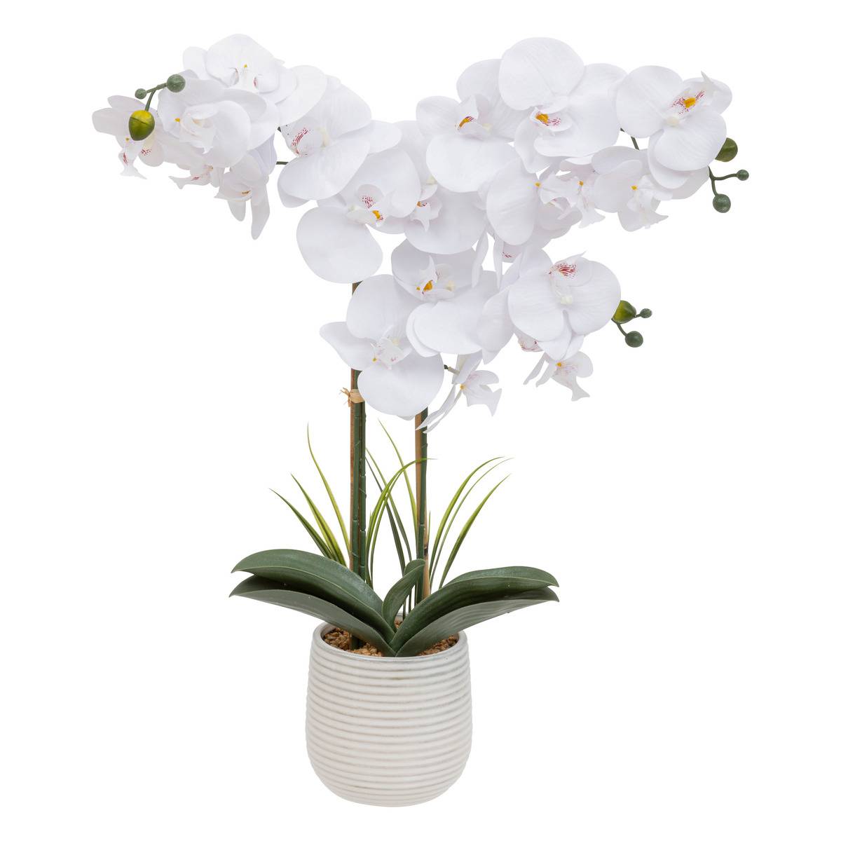 Orchidée artificielle RIVA blanc, ATMOSPHERA
